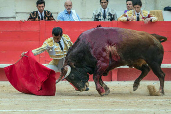 ESCALAFÓN DES MATADORS DE TOROS : LES VALEURS DE LA FAMILLE ADAME