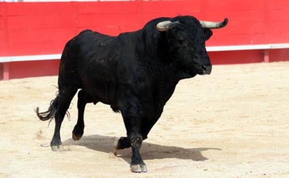 BILANS DE LA SAISON 2021 : FERMÍN BOHÓRQUEZ, GANADERO DE L’ART DU REJONEO