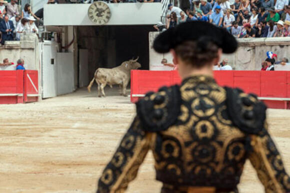 AGENDA : LES RENDEZ-VOUS DE LA TEMPORADA 2019 AUX ARÈNES DE NÎMES