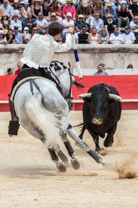 BILANS DE LA SAISON 2019 : FERMÍN BOHÓRQUEZ, MAÎTRE-ÉTALON GANADERO POUR LE REJÓN