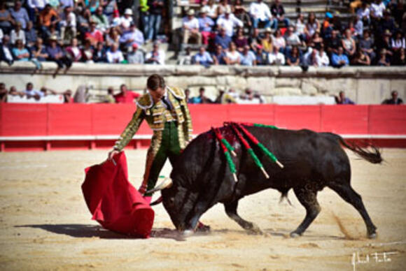 BILAN 2017 : MATADORS DE TOROS AUX ARÈNES DE NÎMES