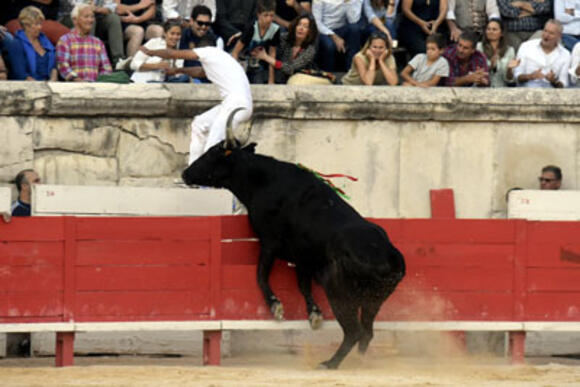 COURSE CAMARGUAISE : LANDIÉ SACRÉ BIOÙ D’OR