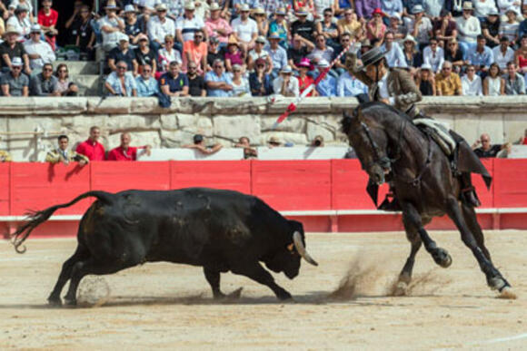 FERIA DES VENDANGES : CARMEN LORENZO ET EL CAPEA, LES INCONTOURNABLES DU REJONEO