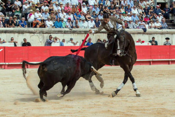 BILANS DE LA SAISON 2018 : EL CAPEA, A NÎMES COMME CHEZ LUI