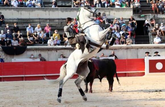 LA CORRIDA ÉQUESTRE DU JOUR : DEMANDEZ LE SORTEO !