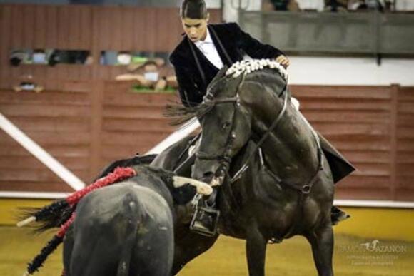 OBJECTIF FERIA DES VENDANGES : FERMÍN BOHÓRQUEZ, VALEUR SÛRE DU REJONEO