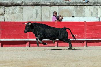 BILAN 2017 : ERALES AUX ARÈNES DE NÎMES