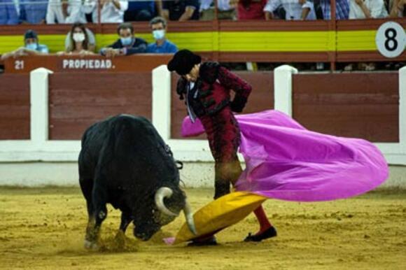 OBJECTIF FERIA DES VENDANGES : MANZANARES EN ÉTAT DE GRÂCE
