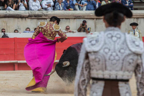 ESPAGNE – PLUS DE PROFESSIONNELS TAURINS, MOINS DE COURSES EN 2017