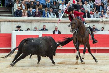 BILAN 2017 : TOROS DE REJONEO AUX ARÈNES DE NÎMES