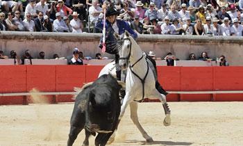 BILAN 2017 : REJONEADORS AUX ARÈNES DE NÎMES