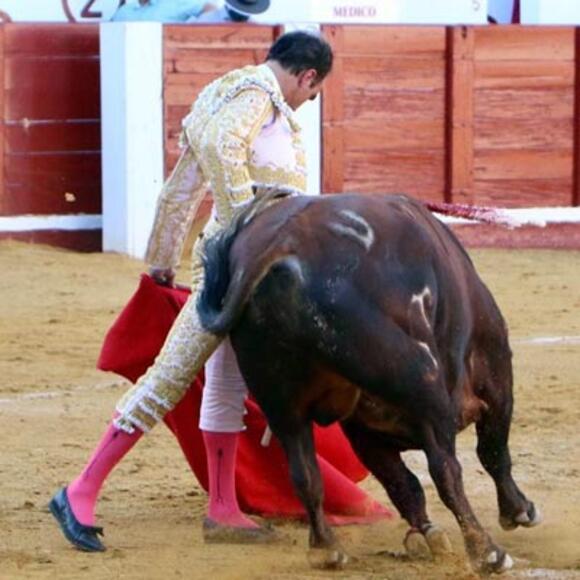 OBJECTIF FERIA DES VENDANGES : ENRIQUE PONCE TOUJOURS AU SOMMET DE SON ART