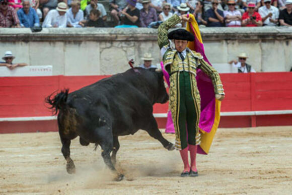 TEMPORADA – ROCA REY, ROI DE LA CORRIDA GUADALUPANA