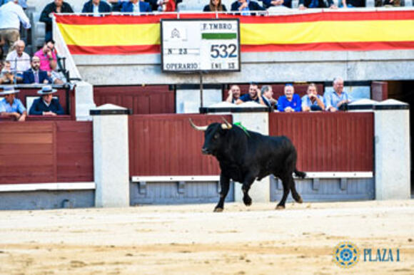 ABONNÉS : PRÉCISIONS SUR LES INVITATIONS POUR LA FERIA DE SAN ISIDRO