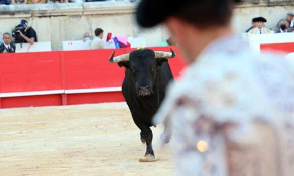 BILANS DE LA SAISON 2021 : VICTORIANO DEL RÍO RÉAFFIRME SON HÉGÉMONIE