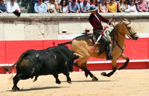 BILANS DE LA SAISON 2023 : LE CAVALIER SEUL DE FERMÍN BOHÓRQUEZ