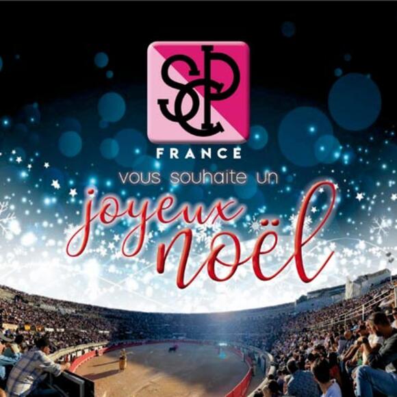 FÊTES DE FIN D’ANNÉE – JOYEUX NOËL À TOUS