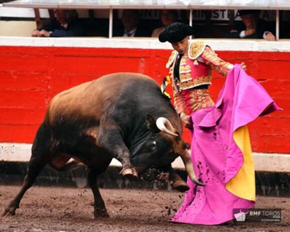 OBJECTIF FERIA DES VENDANGES : LE SÉRIEUX DES VICTORIANO DEL RÍO À BILBAO