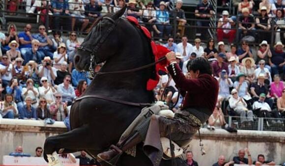 FERIA DE PENTECÔTE : GRANDIOSE TRIOMPHE DE DIEGO VENTURA, QUI OUVRE LA PORTE DES CONSULS, DEUX OREILLES POUR LÉA VICENS